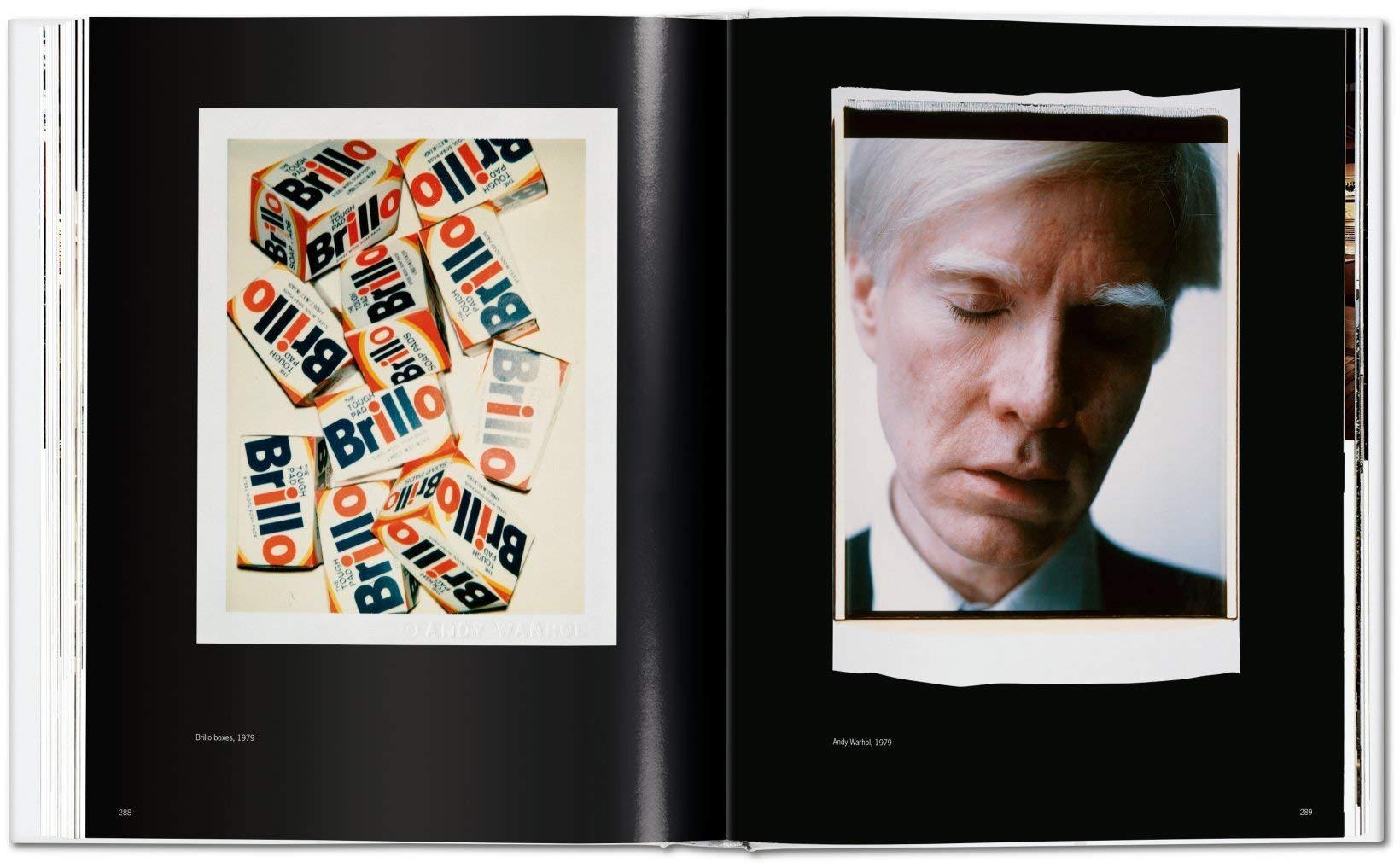 andy warhol polaroids 1958-1987