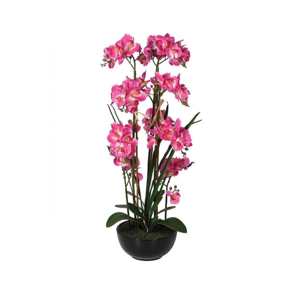 pink orchid with black pot