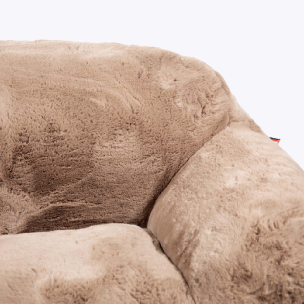 Loty Armchair - Taupe