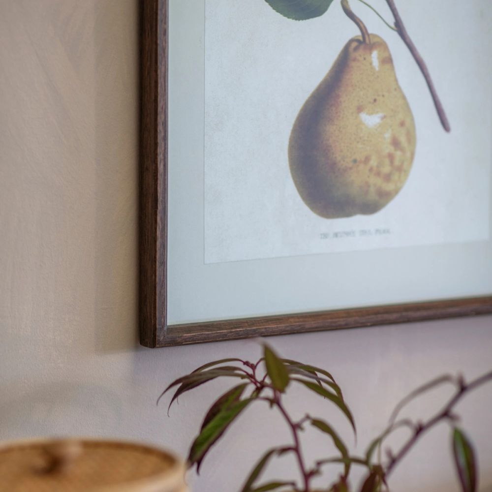 Croston Set of 4 Pear Frames Prints