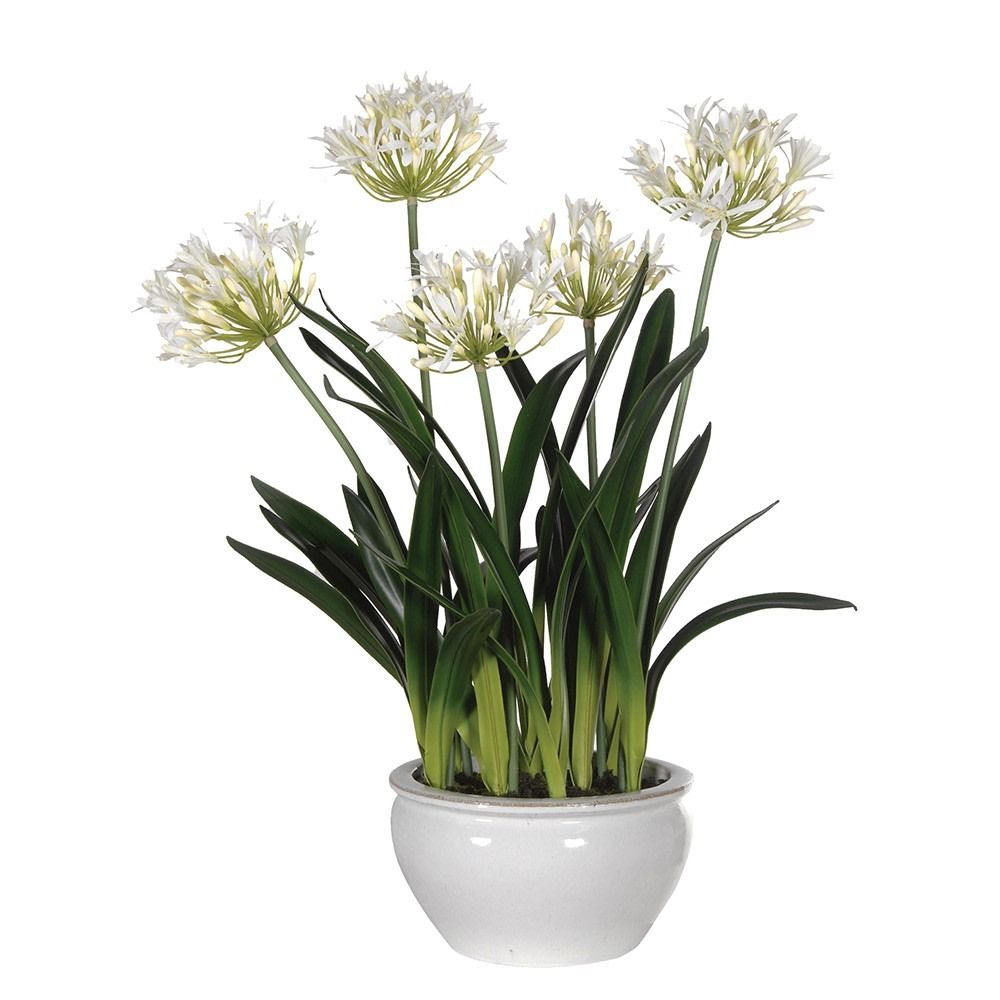 Maribelle Agapanthus Bowl