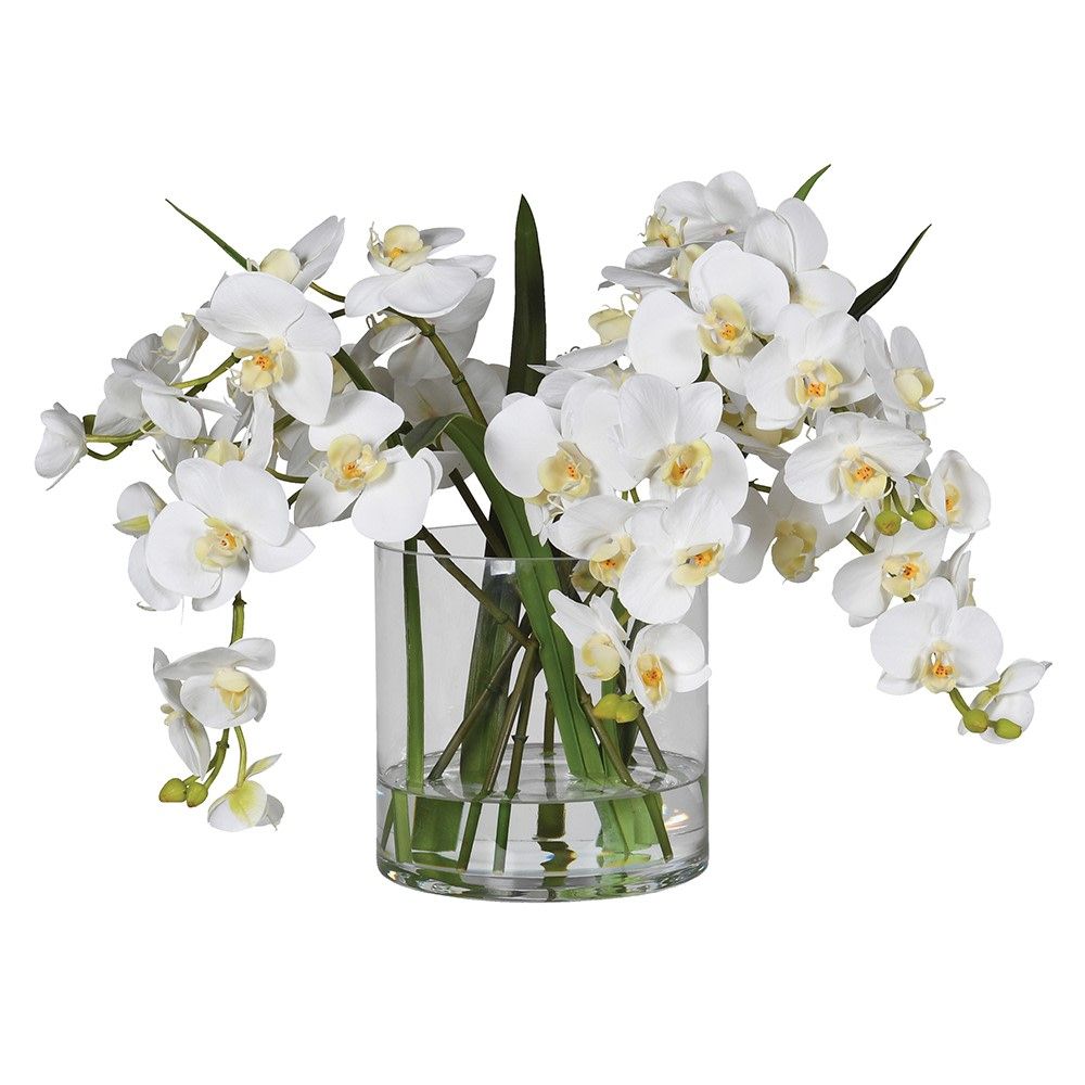 Laramie Orchid in Vase
