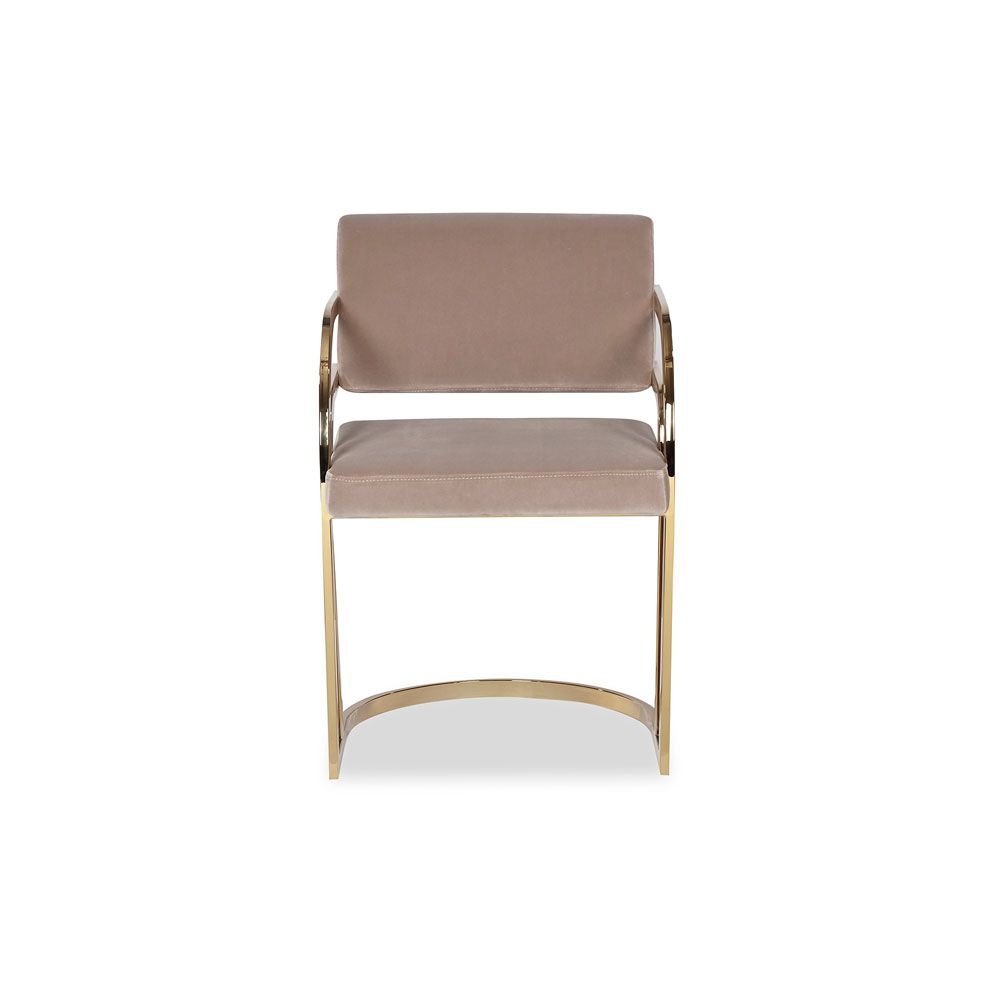 Dylan Dining Chair - Gainsborough Mink Velvet /Brass
