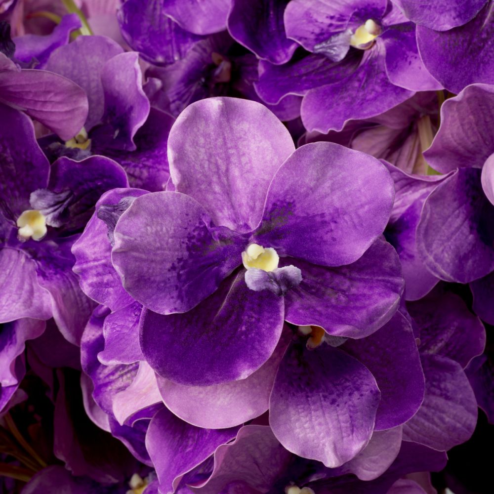 Real Touch Bouquet of Vanda Orchids - 24 pcs - Purple