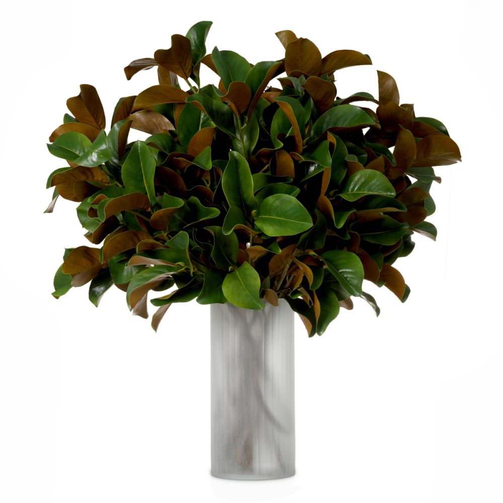 Bundle of Magnolia Leaves - 24 pcs - Green & Brown