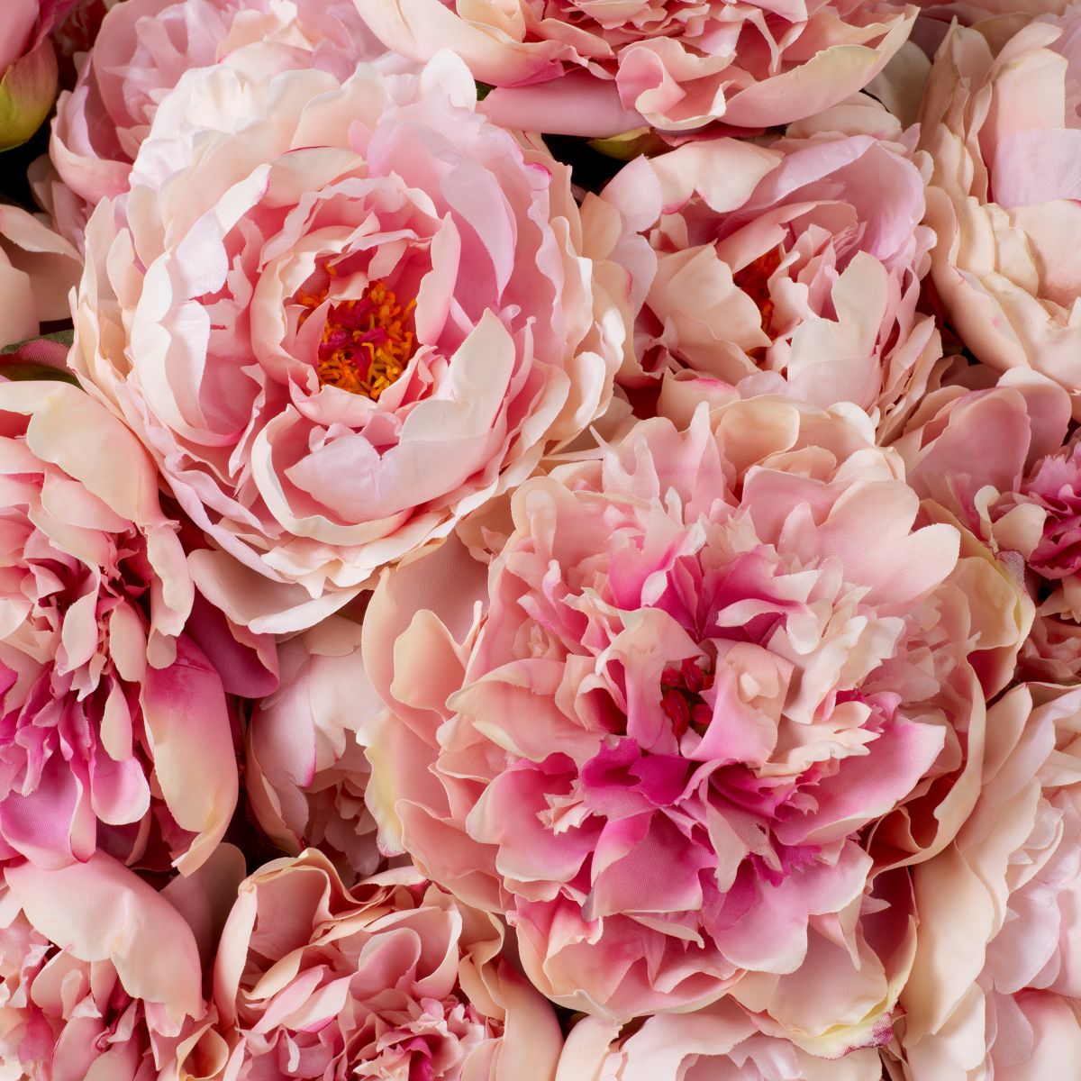 Add a touch of soft elegance to your home with this exquisite Bouquet of Peonies in delicate pink tones - 48 pieces.