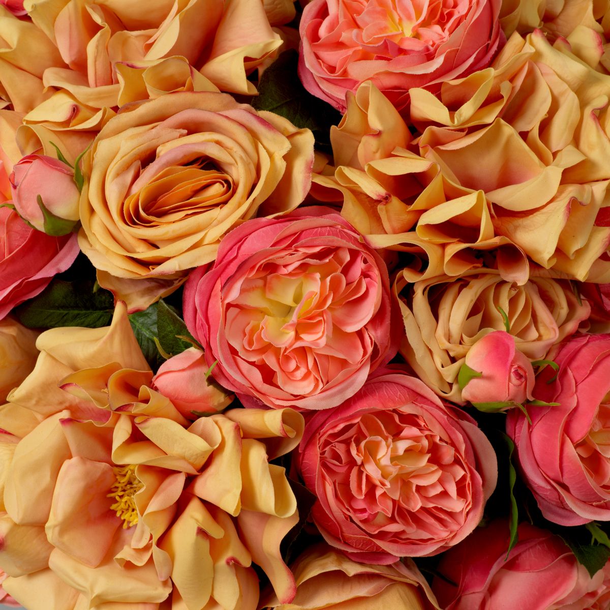 Bring a touch of classic romance into your space with this beautiful Bouquet of Garden Roses in three soft peach tones - 72 pieces.