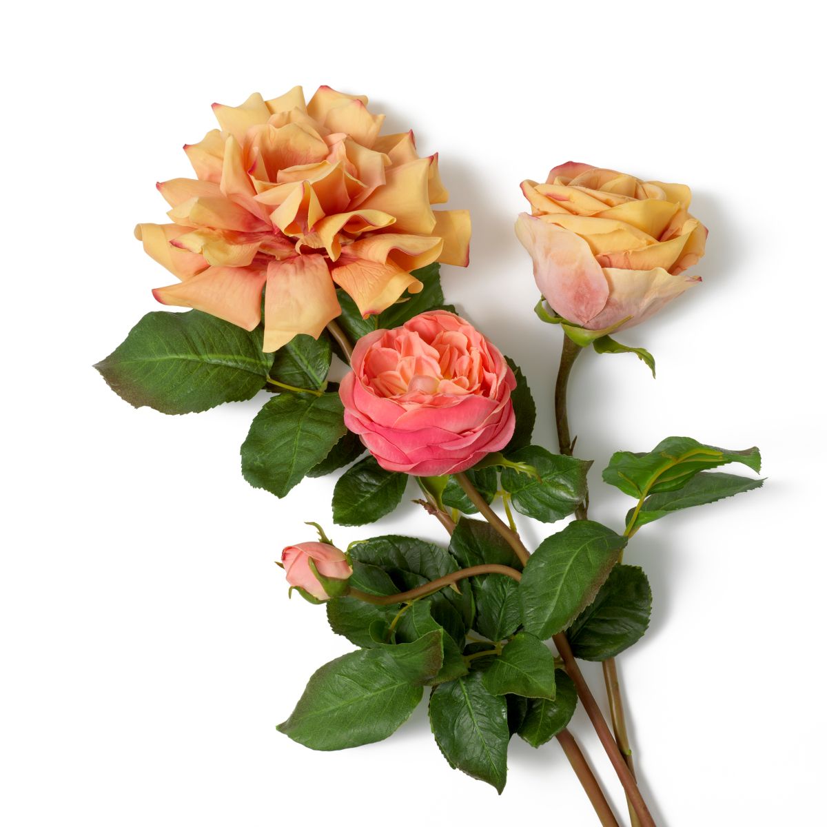 Bring a touch of classic romance into your space with this beautiful Bouquet of Garden Roses in three soft peach tones - 72 pieces.
