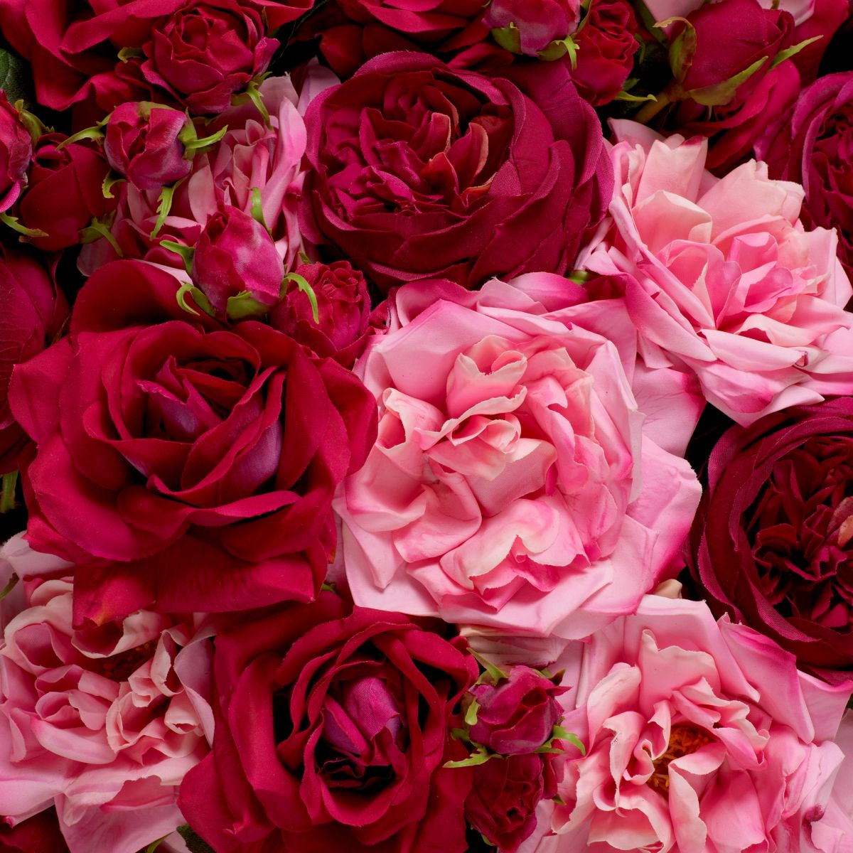 72 impeccably arranged blooms in a rich spectrum of vibrant hues.