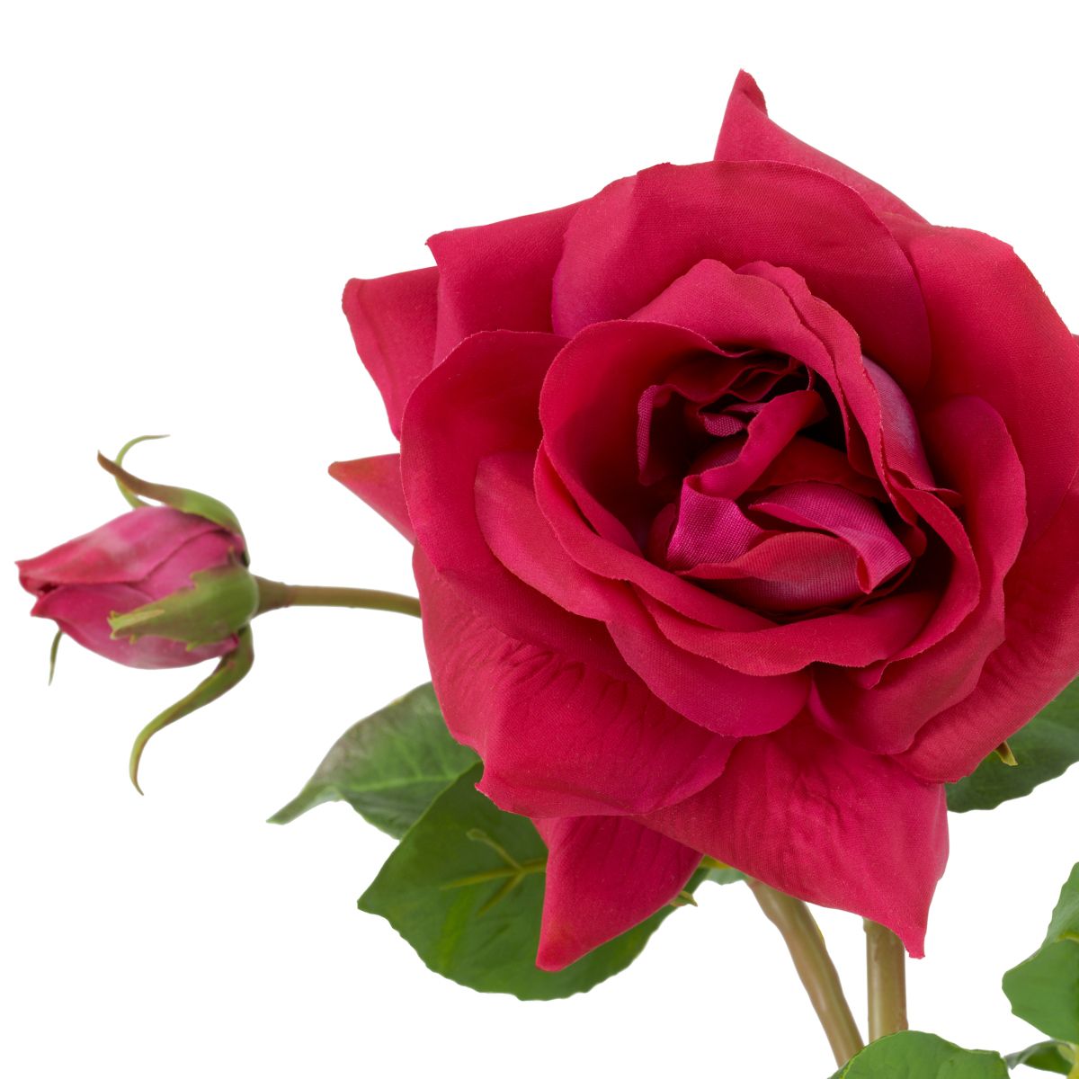 72 impeccably arranged blooms in a rich spectrum of vibrant hues.