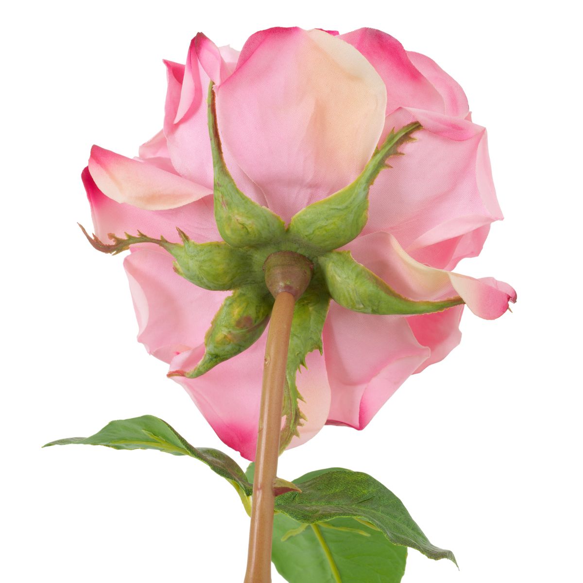 72 impeccably arranged blooms in a rich spectrum of vibrant hues.