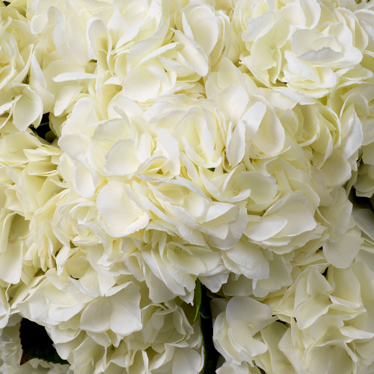 Elegant bouquet of white tones, 48 pieces