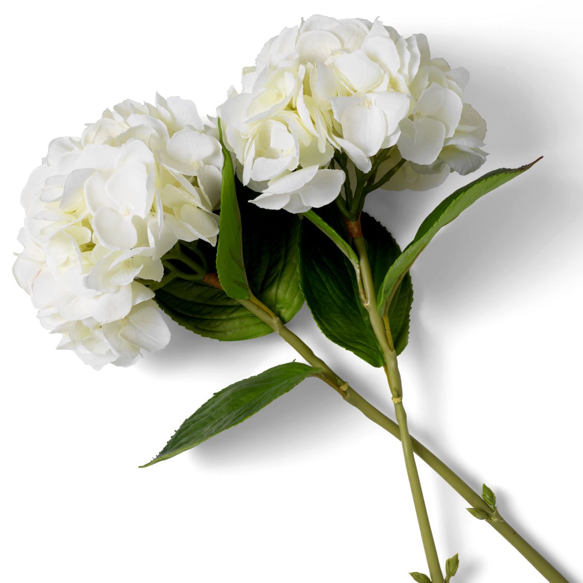 Elegant bouquet of white tones, 48 pieces