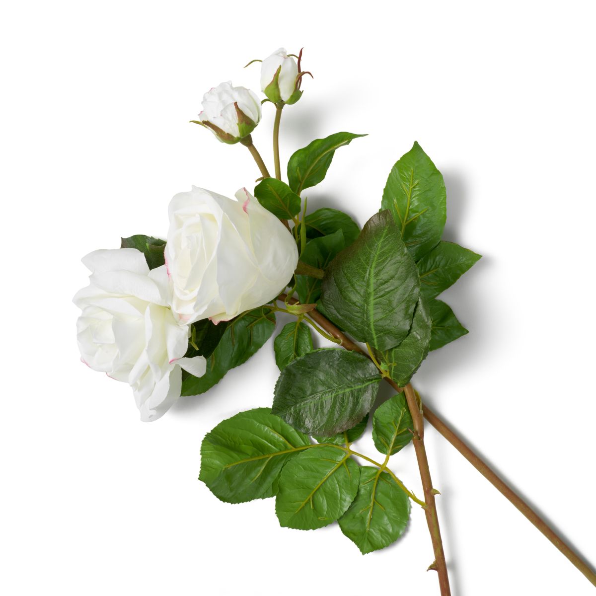 Exude elegance with this refined Bouquet of Two-Tone White Garden Roses - 72 pieces.