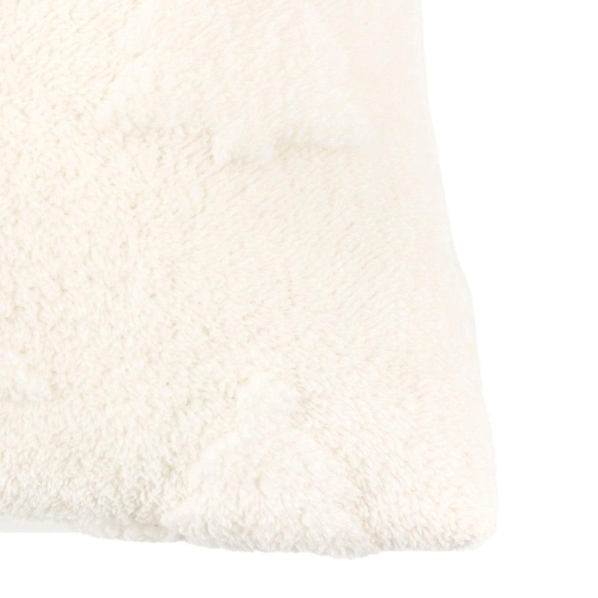 Frosted Fir Cushion