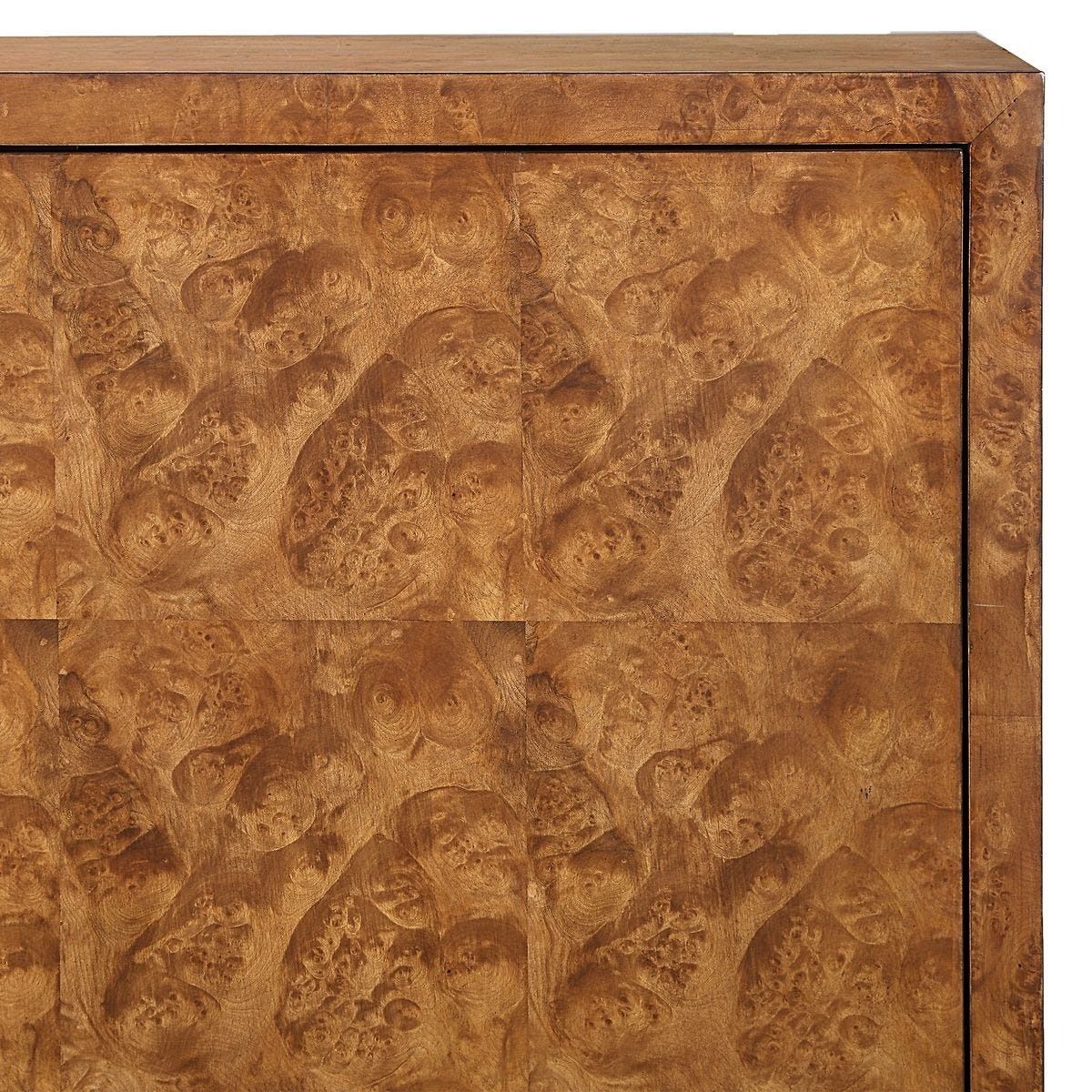 Jethro 2-Door Cabinet