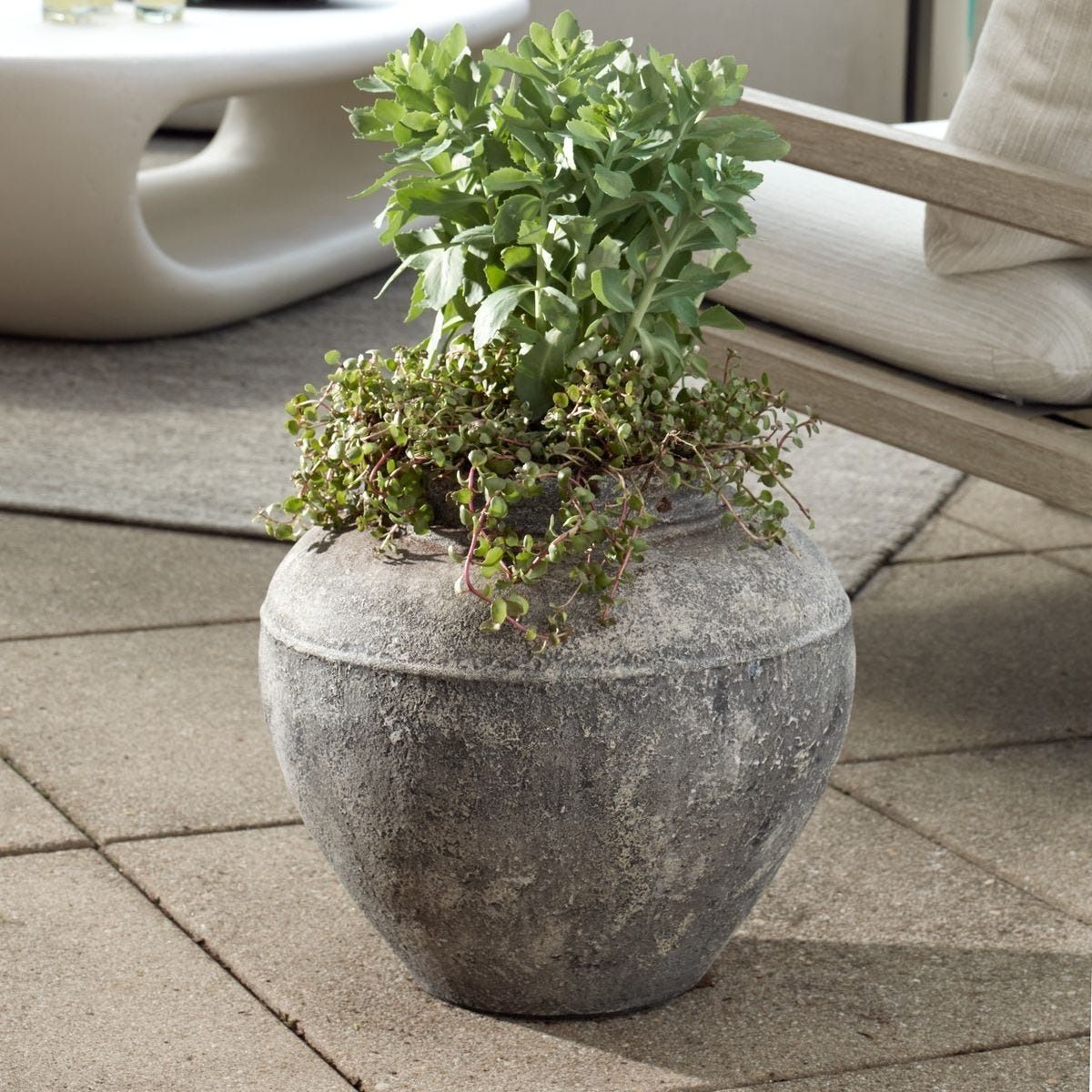 Echoes of Time Concrete Outdoor Planter