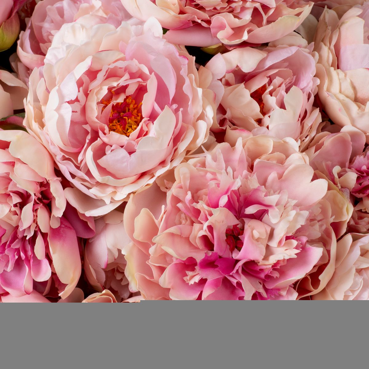 Bouquet of Peonies - Soft Pink