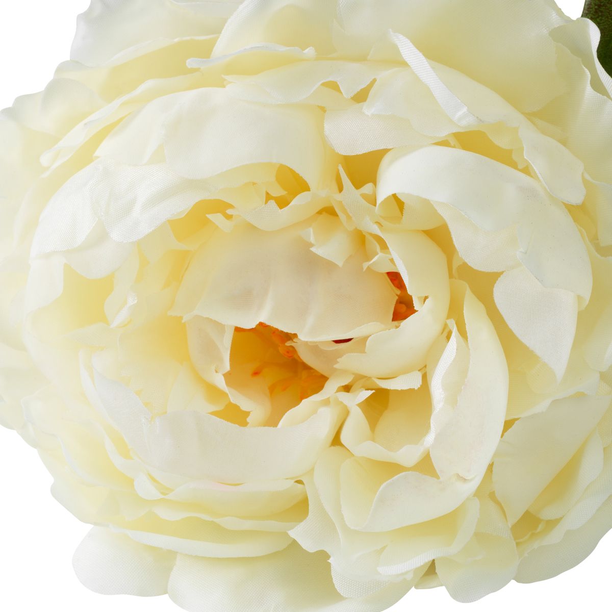 Bouquet of Peonies - Soft White