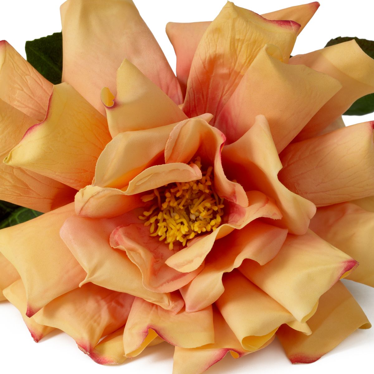 Bouquet of Roses - Peach
