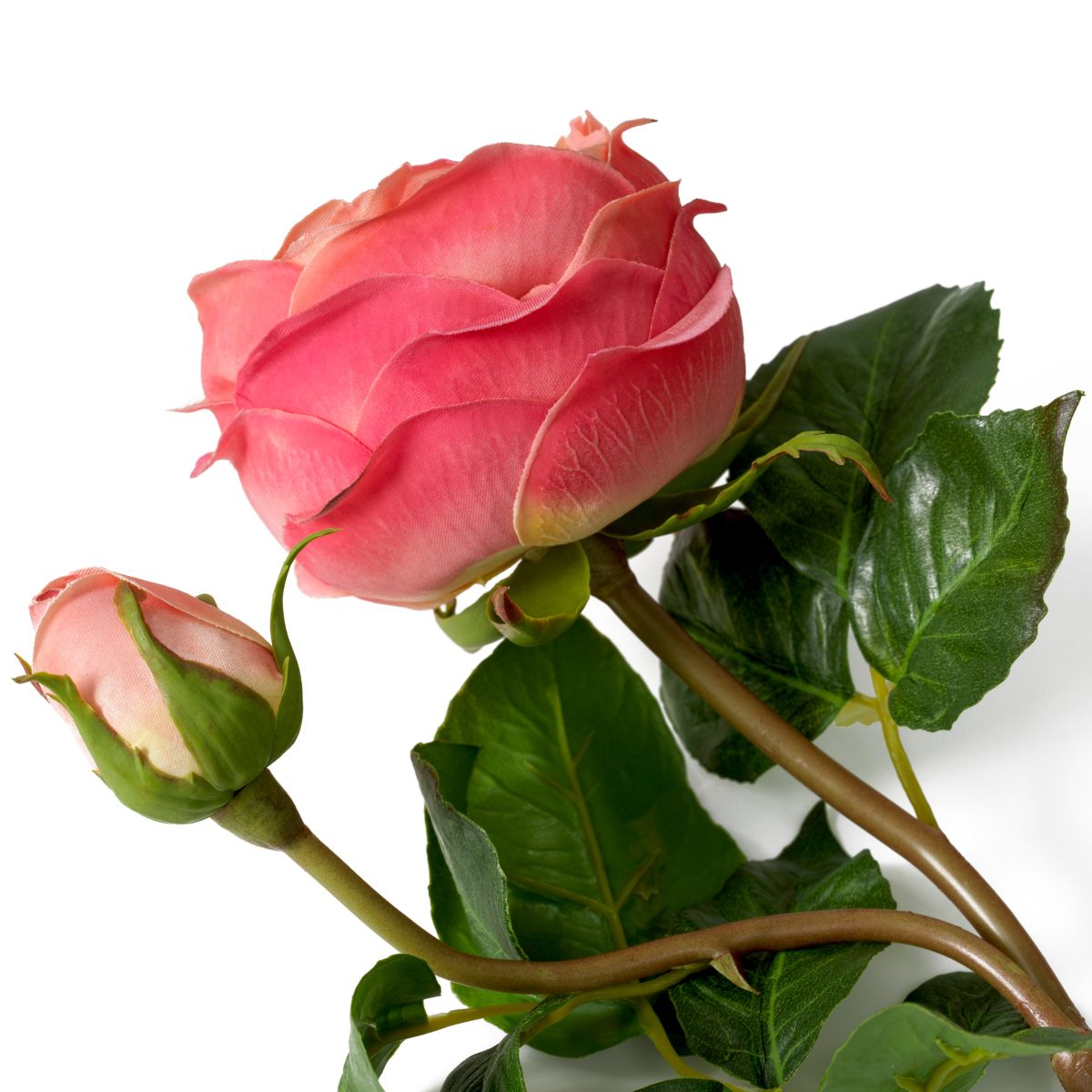 Bouquet of Roses - Peach