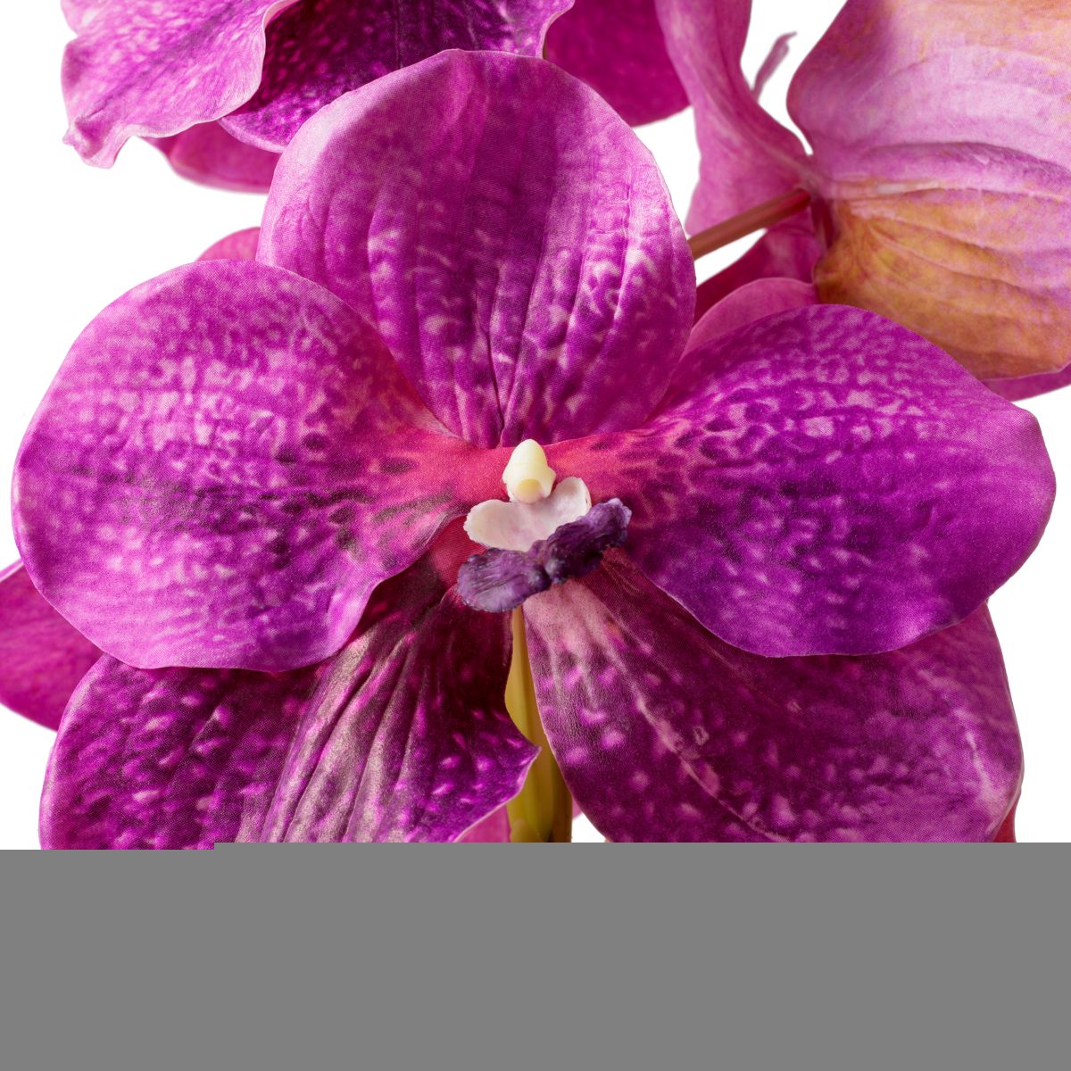 Real Touch Bouquet of Vanda Orchids - 24 pcs - Fuschia