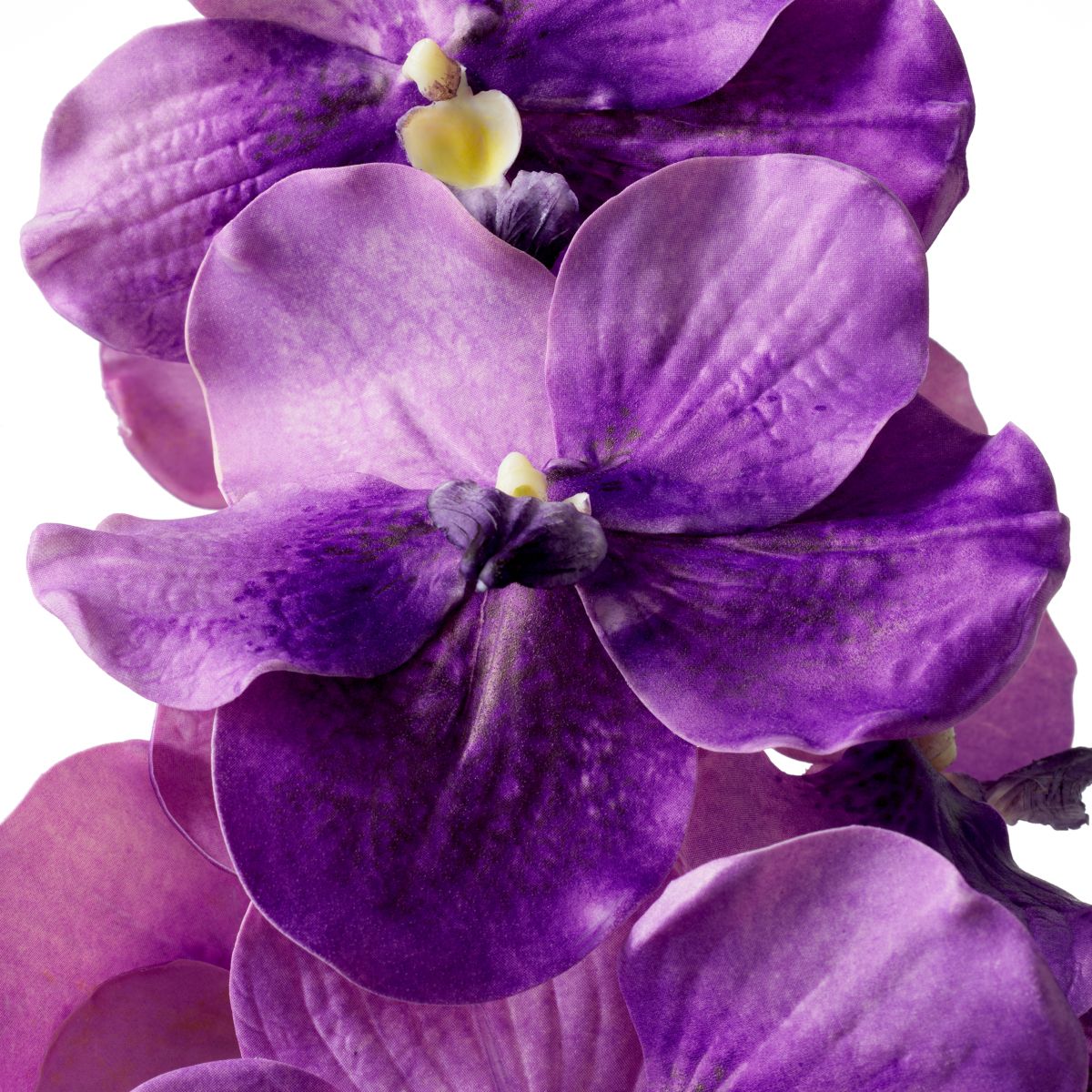 Real Touch Bouquet of Vanda Orchids - 24 pcs - Purple