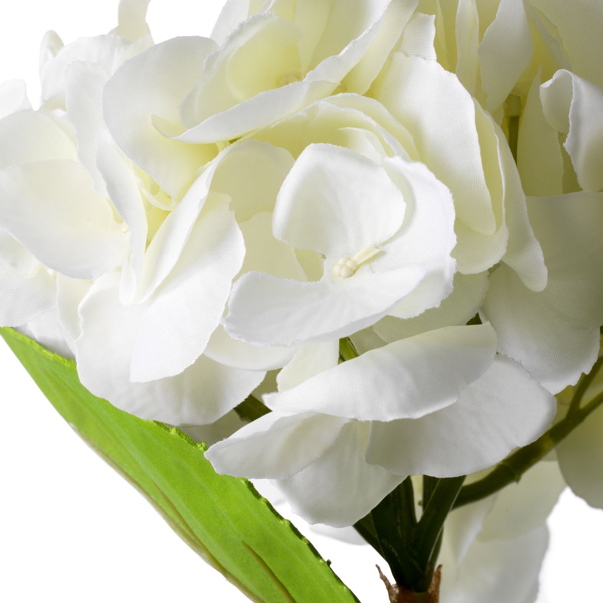 Bouquet of Hydrangeas - White