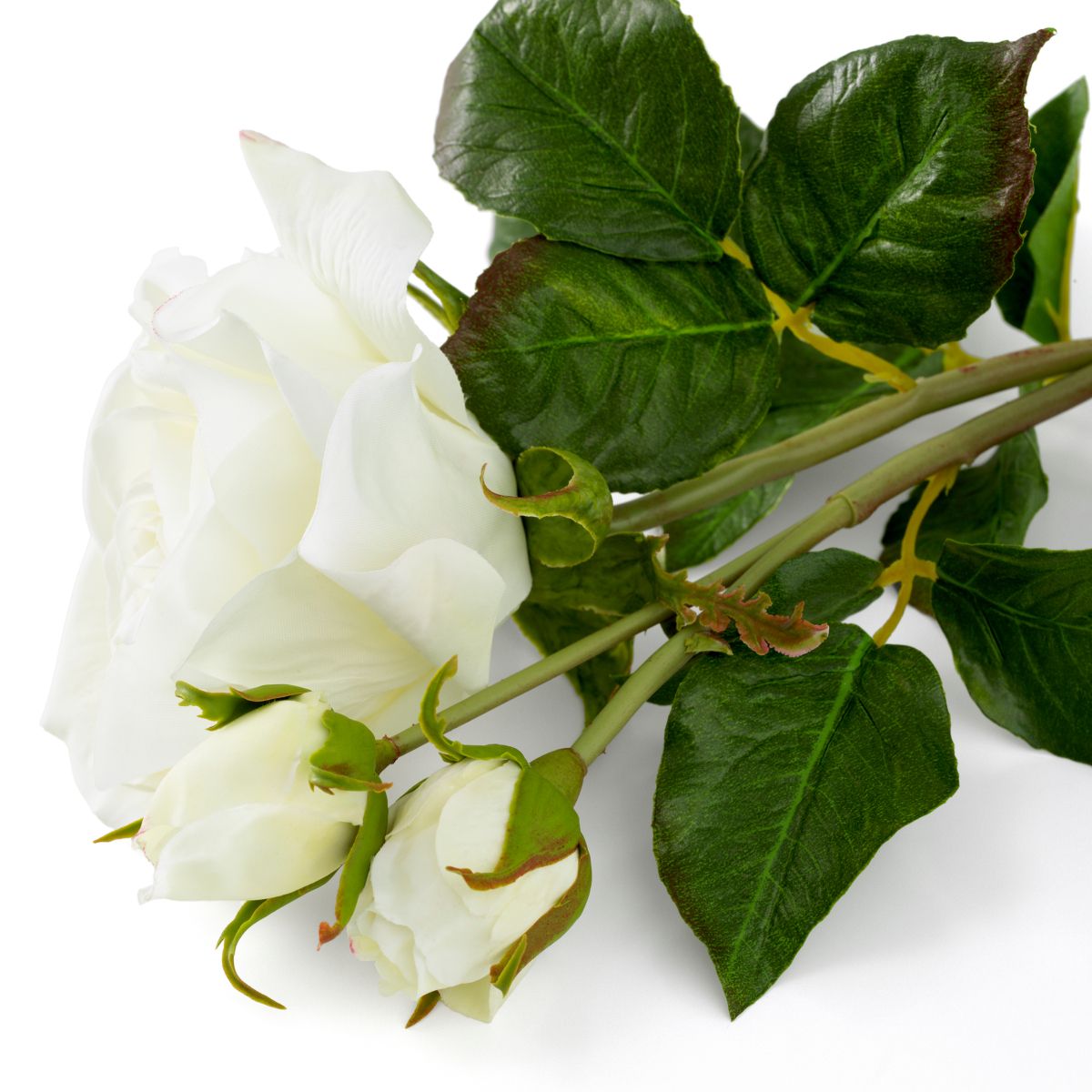 Real Touch Bouquet of Roses - 72 pcs - White