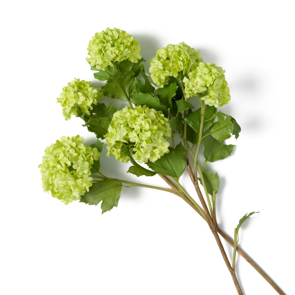 Bouquet of Hydrangeas - Green