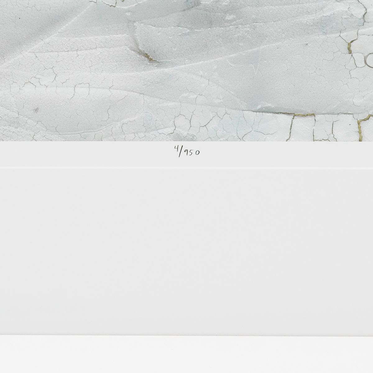 Rift Valley by Vanna Lam Print - Set of 2