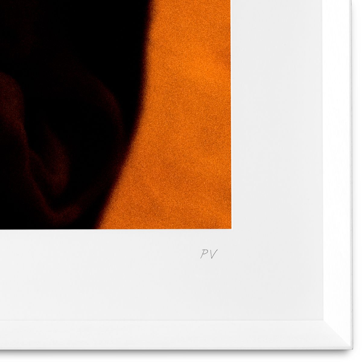 Philippe Vogelenzang Print - Vitamin Oral