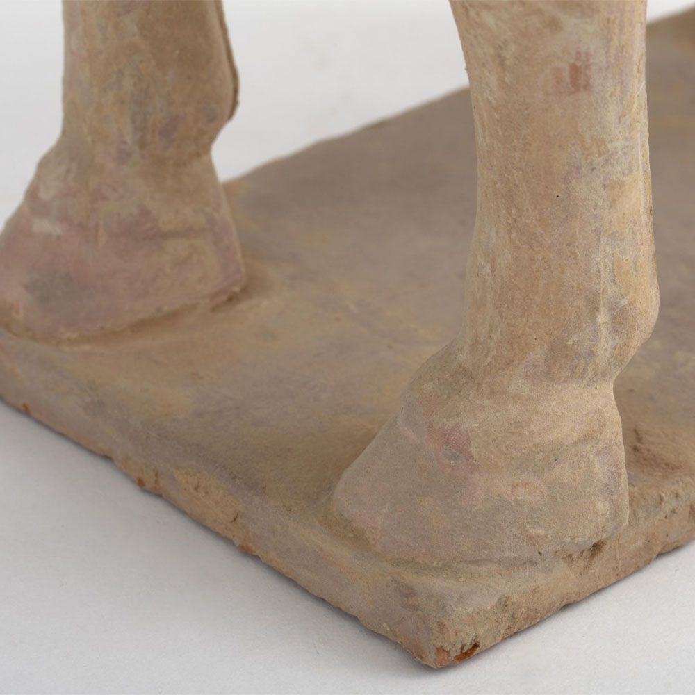 Tantoo Horse Sculpture