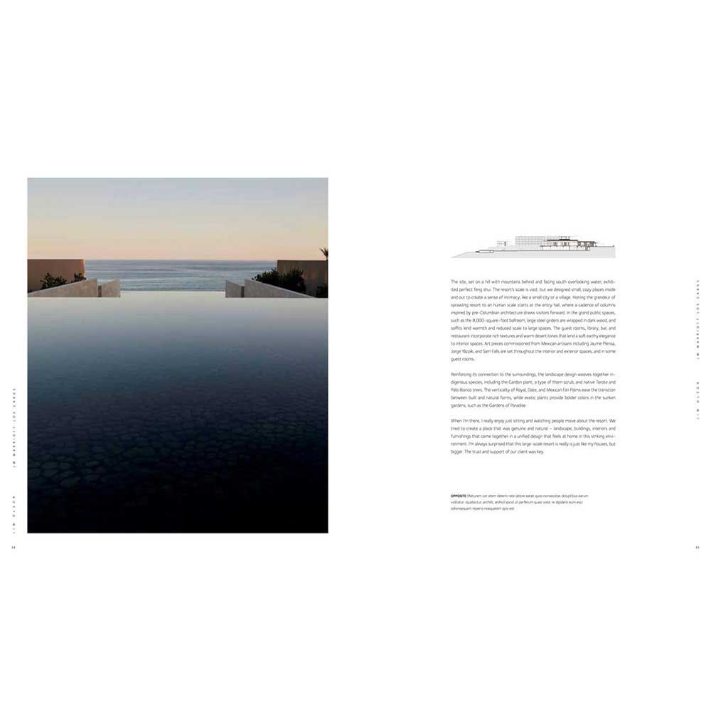 Jim Olson: Building • Nature • Art