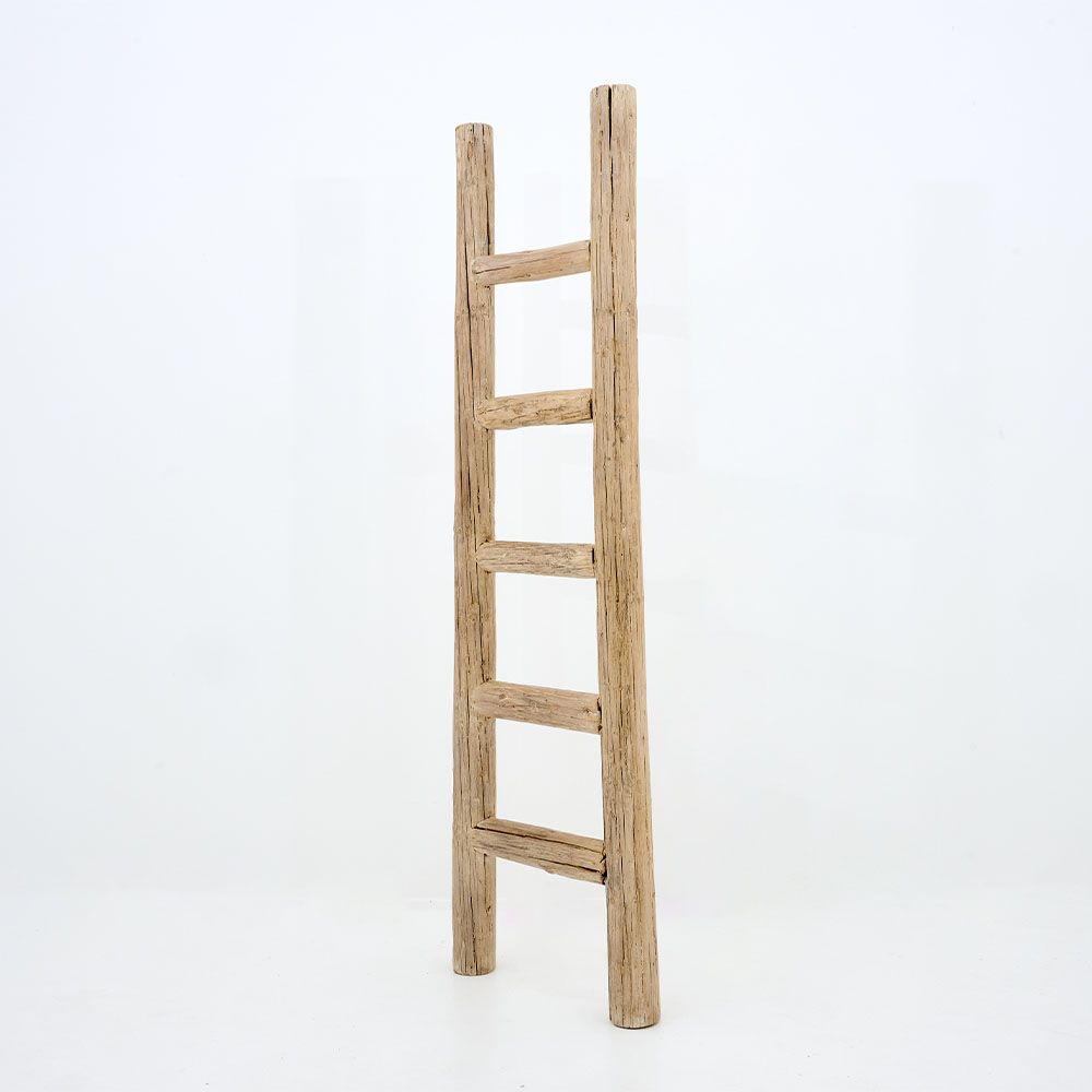 Healy Ladder