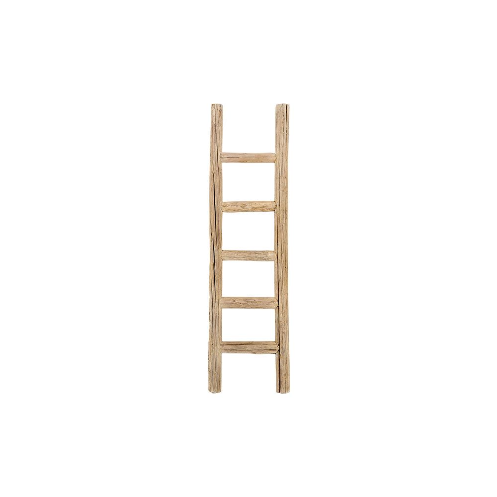 Healy Ladder
