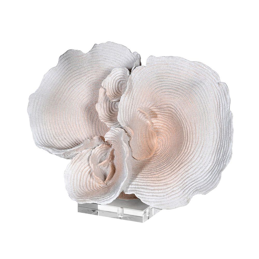 Avisa Coral Sculpture, Accessories