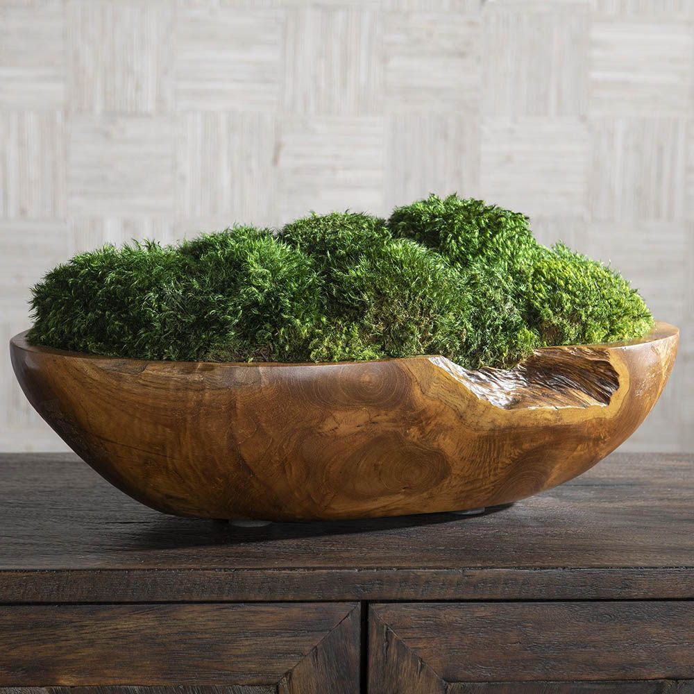 Moss Arrangement in Concrete Bowl