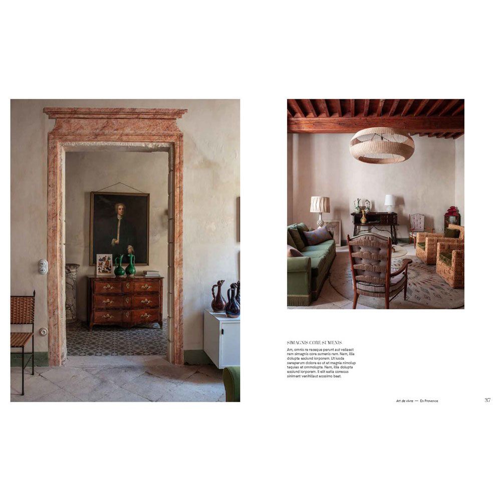 The World of Atelier Vime