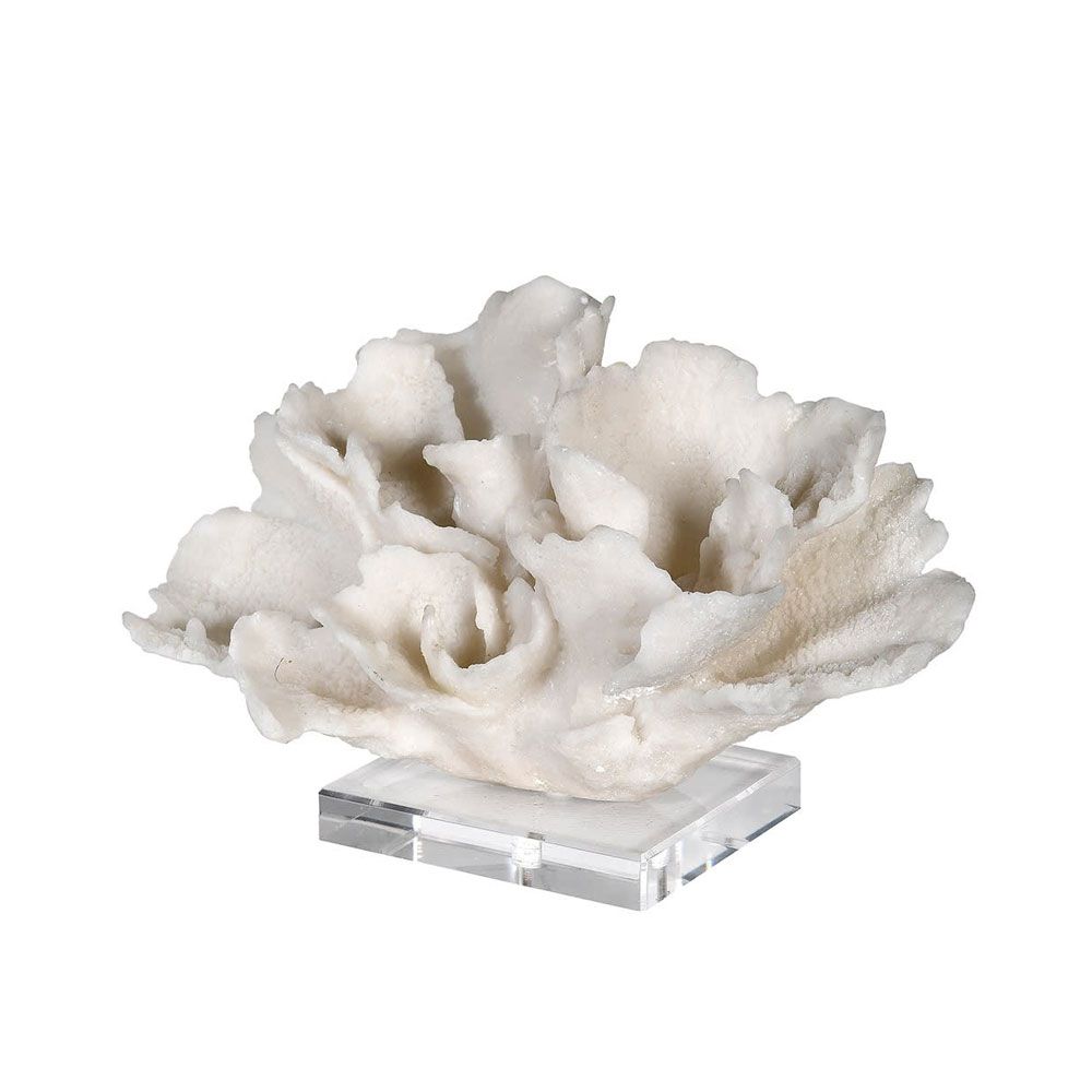 Galia Coral Sculpture, Accessories