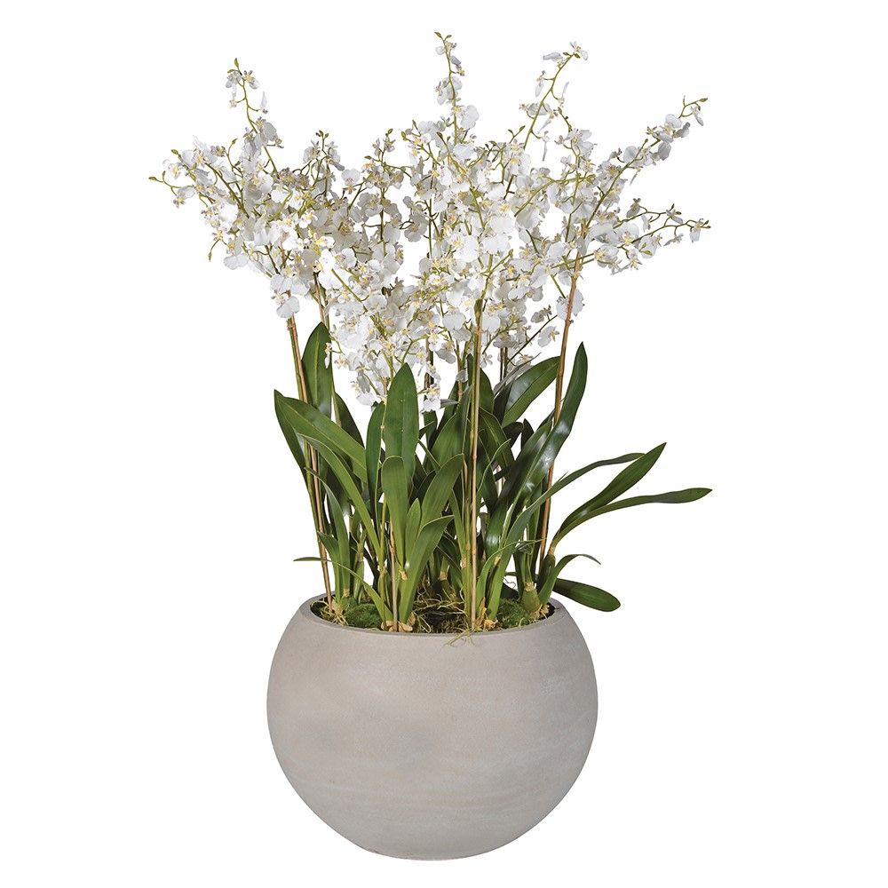 Circular grey planter