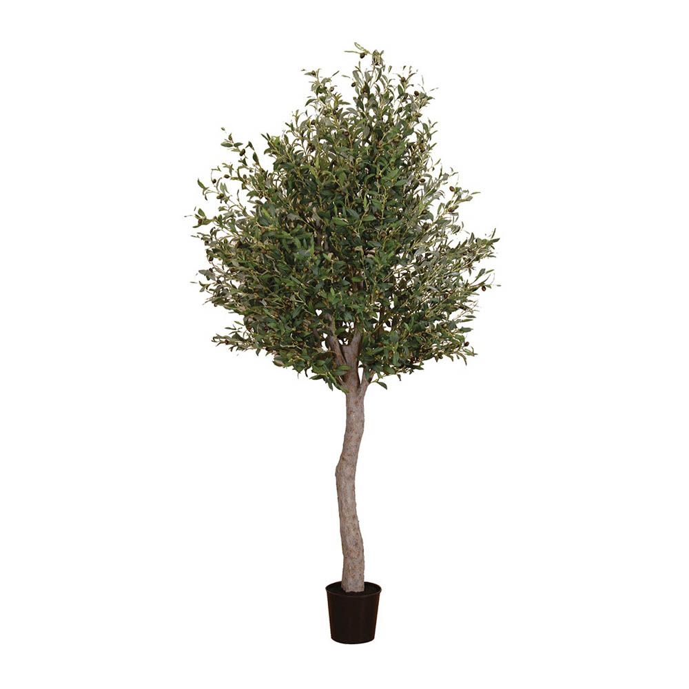 Orla: Extra Large Faux Olive Tree - Artificial Mature Olive Tree - Artificial  Olive Tree Large 