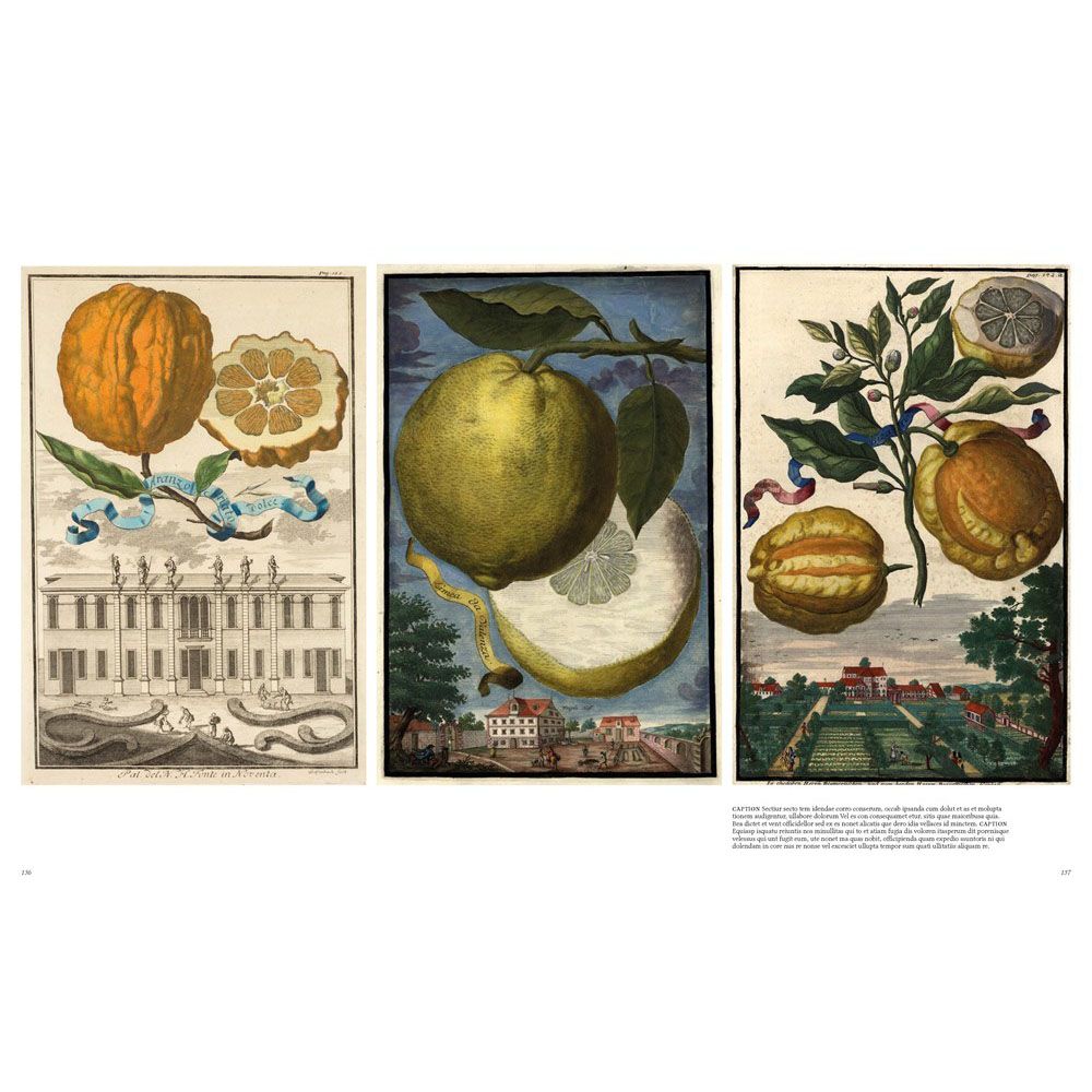 Citrus