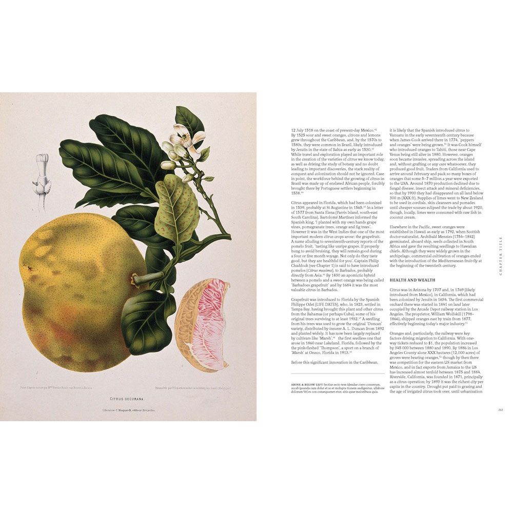 Citrus