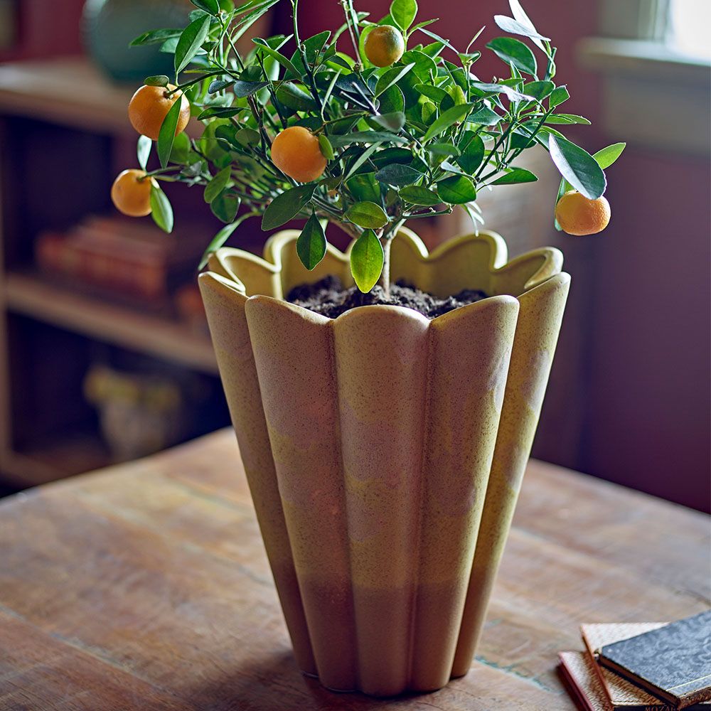 Penn Vase