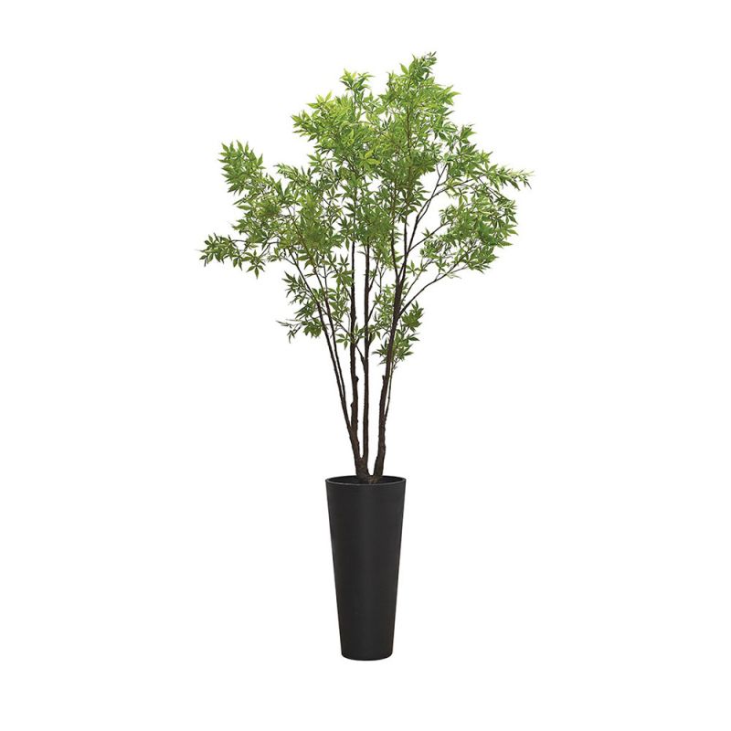 Black vase with tall green tree