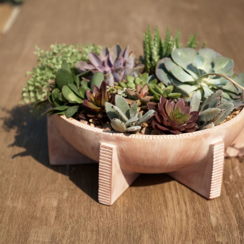 Rounded, bowl-shaped planter with six triangular legs