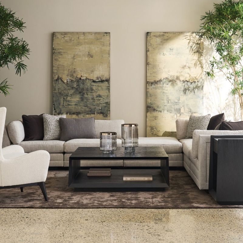 Discover the elegant Boxcar Coffee Table by Caracole. With a sleek dark finish, it adds modern sophistication to any living space. Perfectly crafted!