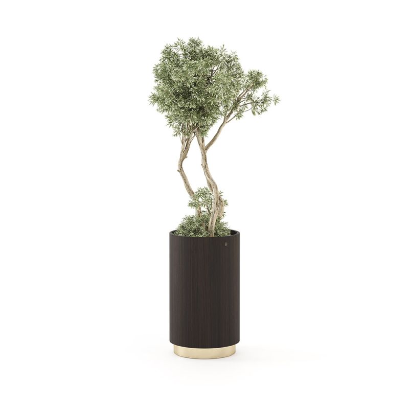 Elegant tall planted with dazzling gold base accent