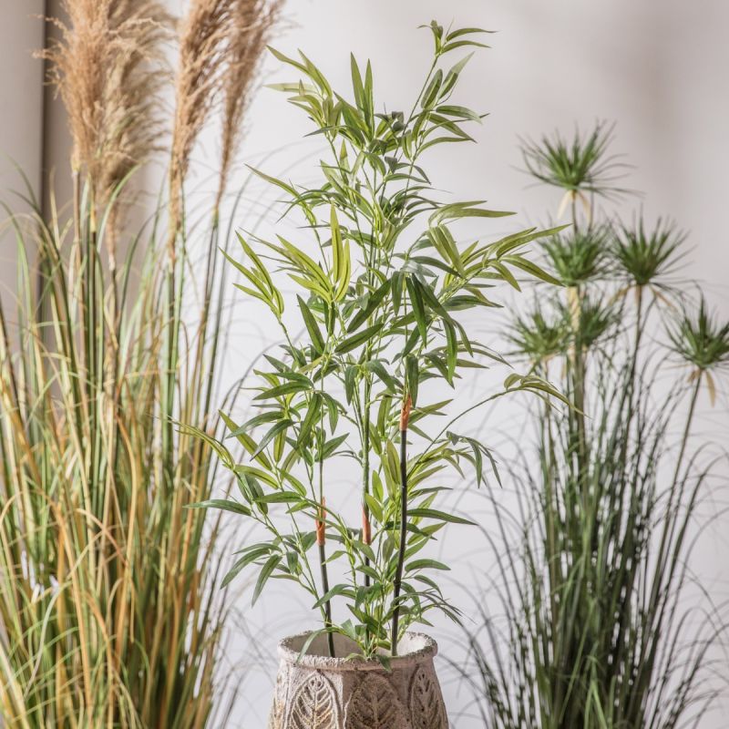 Potted bamboo